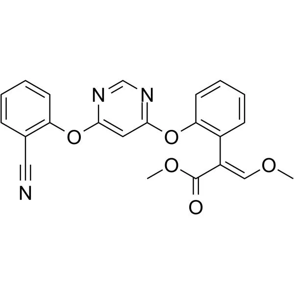 High quality/High cost performance Agrochemical Azoxystrobin Fungicide 98%Tc 50%Wdg