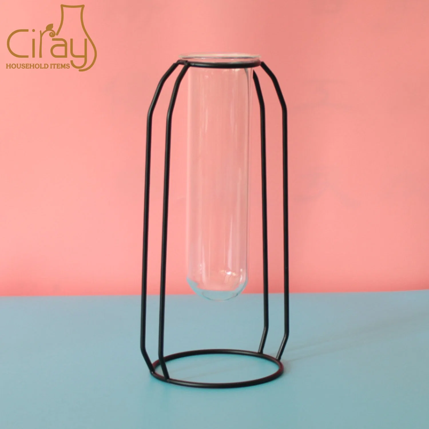 Creative Glass Tube Flower Vase with Golden Metal Stand