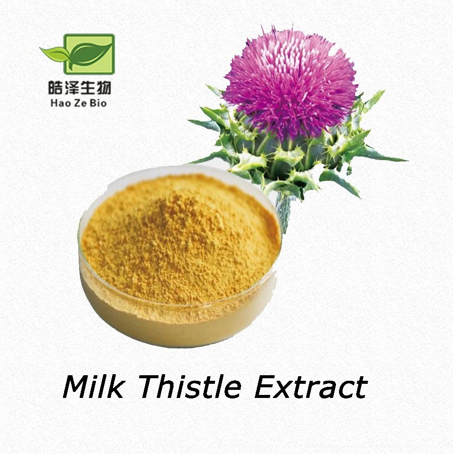 Liver Protection Free Sample Organic 80% Silymarin Milk Thistle Extract