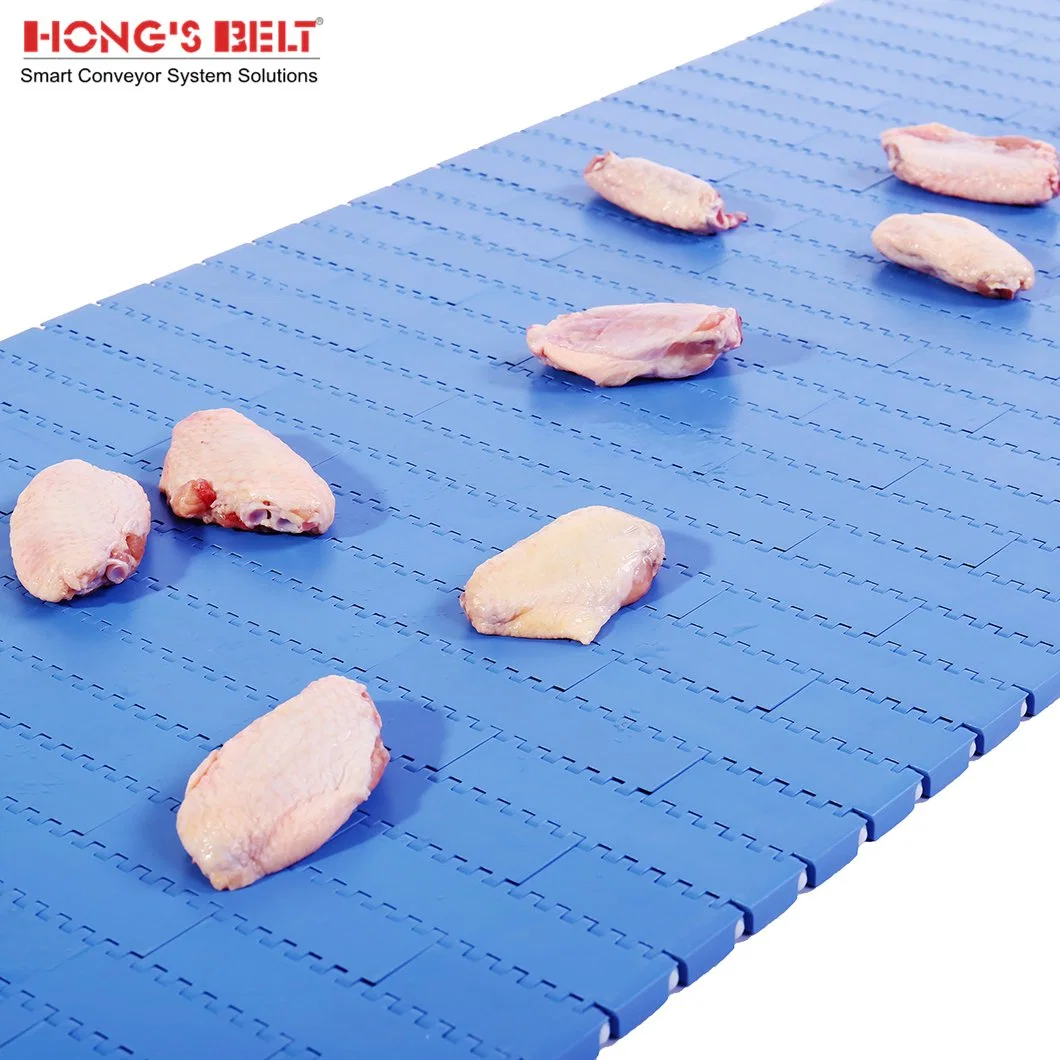 Hongsbelt High quality/High cost performance  Modular Plastic Conveyor Belt for Logistics Industry