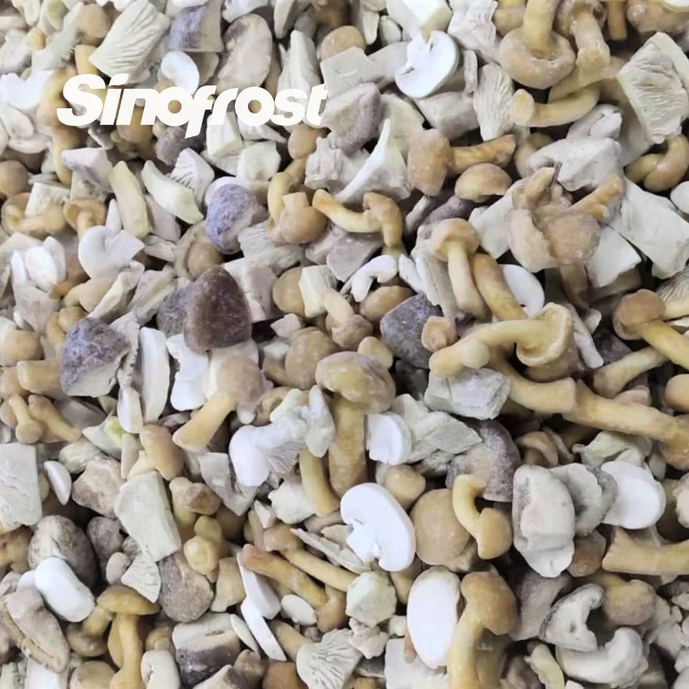 IQF Mixed Mushrooms proveedores - Premium IQF Wild Mushroom Blend Para distribución al por mayor