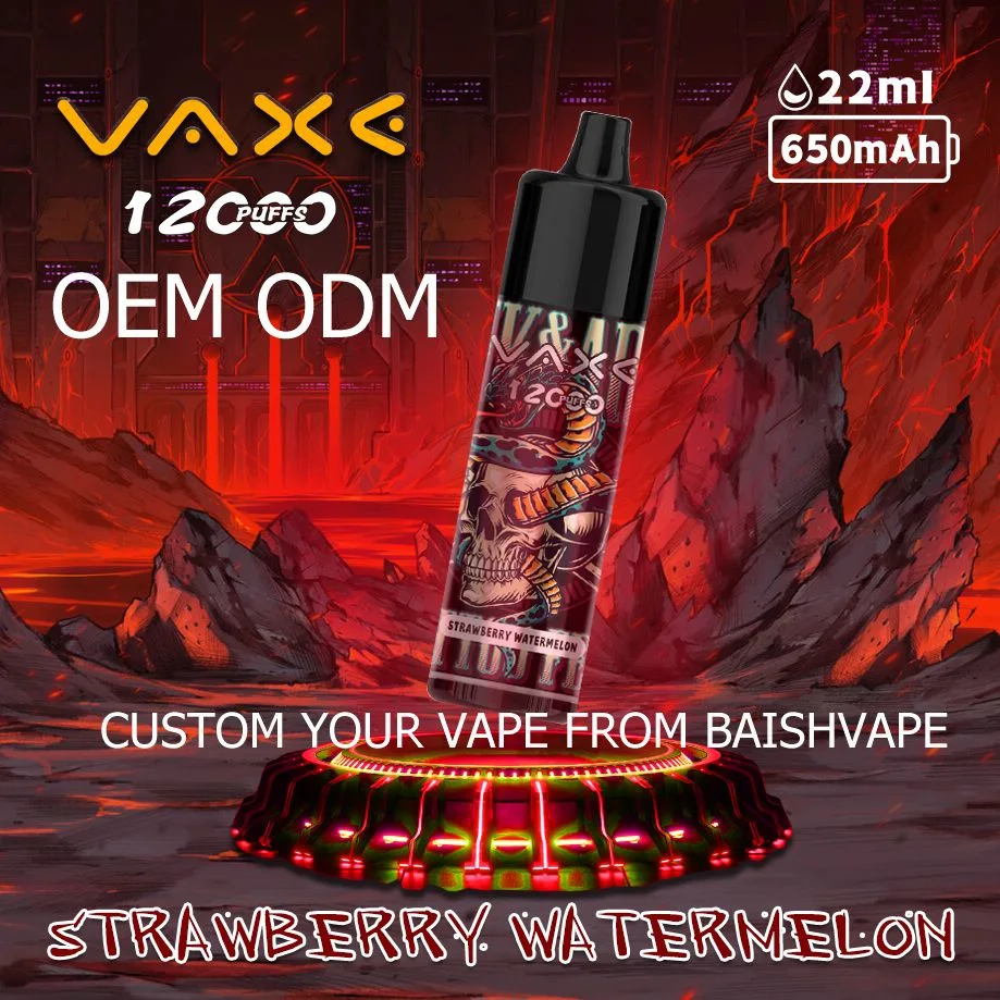 Vaxe 12000 Puffs Zbood Private Label Recyable Lung 500/600/800/1600/2500/2800 Alladin Macaco descartável do vaporizador