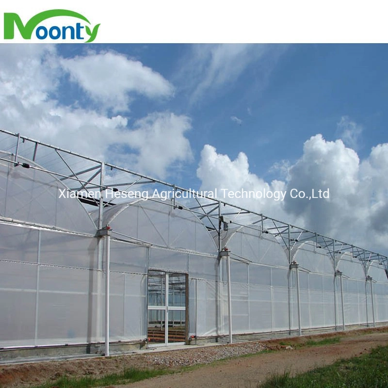 Agricultural/Commercial Multi Span/Cheap Tunnels/Gothic Plastic Film Hydroponic Greenhouse for Tomatoes/Cucumber/Lettuce Growing