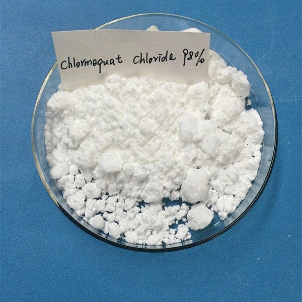 Plant Growth Retardant Chlormequat Chloride CCC 50 SL