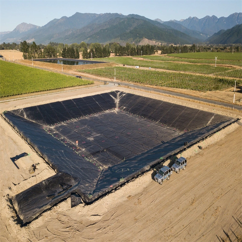 O tanque de água de 300 mícrones exterior Geomembrana camisa HDPE para o Líbano