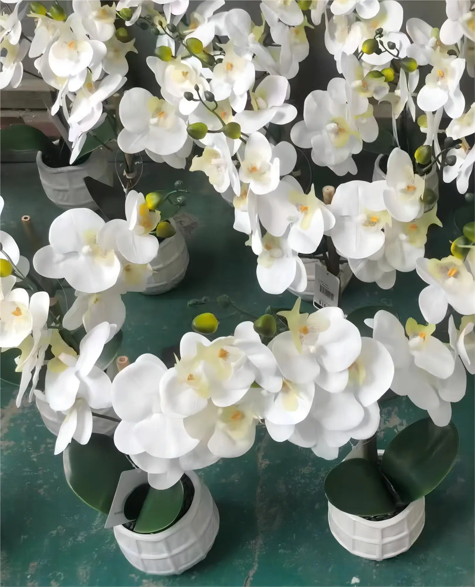 OEM Factory Customized Wholesale/Supplier Artificial Flower Home Decor Artificial Orchid Flower Artificial Plastic Orchids Artificial Bonsai Orchid Manufacturer in China