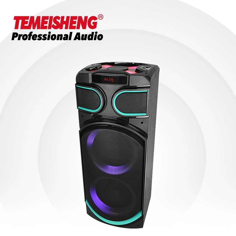 Temeisheng 8 Inch Party Box 100 Watt Professional Portable Wireless Audio Blueotth Speaker with Microphone