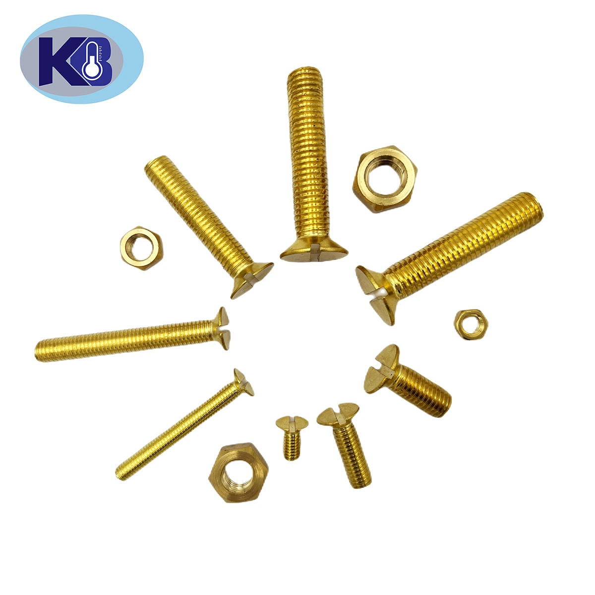 Stainless Steel Bolts/Hexagon Head Bolt and Nut/Carriage Bolt/U Bolt/ Hex Flange Bolt/Anchor Bolt /Eye Bolt/Hex Flange Nuts/Flat Washer/Spring Washer/Stud Bolts