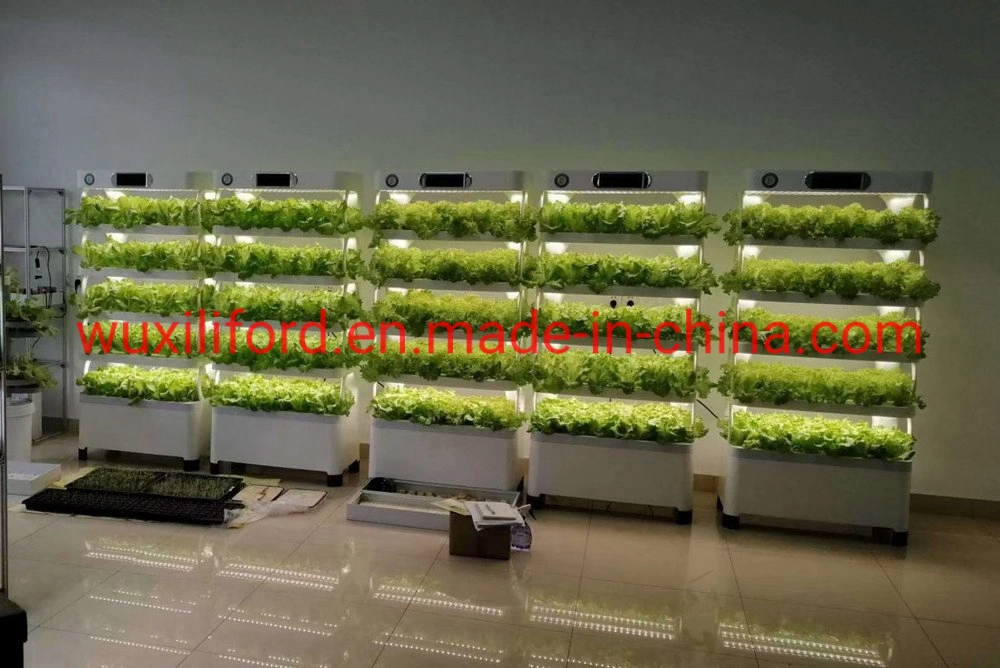 Sichere tragbare professionelle Smart Farm LED Hydroponics Systeme für Salat