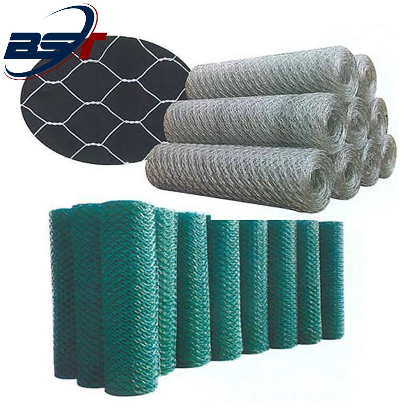 Hexagonal Gabion Mesh Hexagonal Wire Mesh Contacts with TUV for Chicken Wire