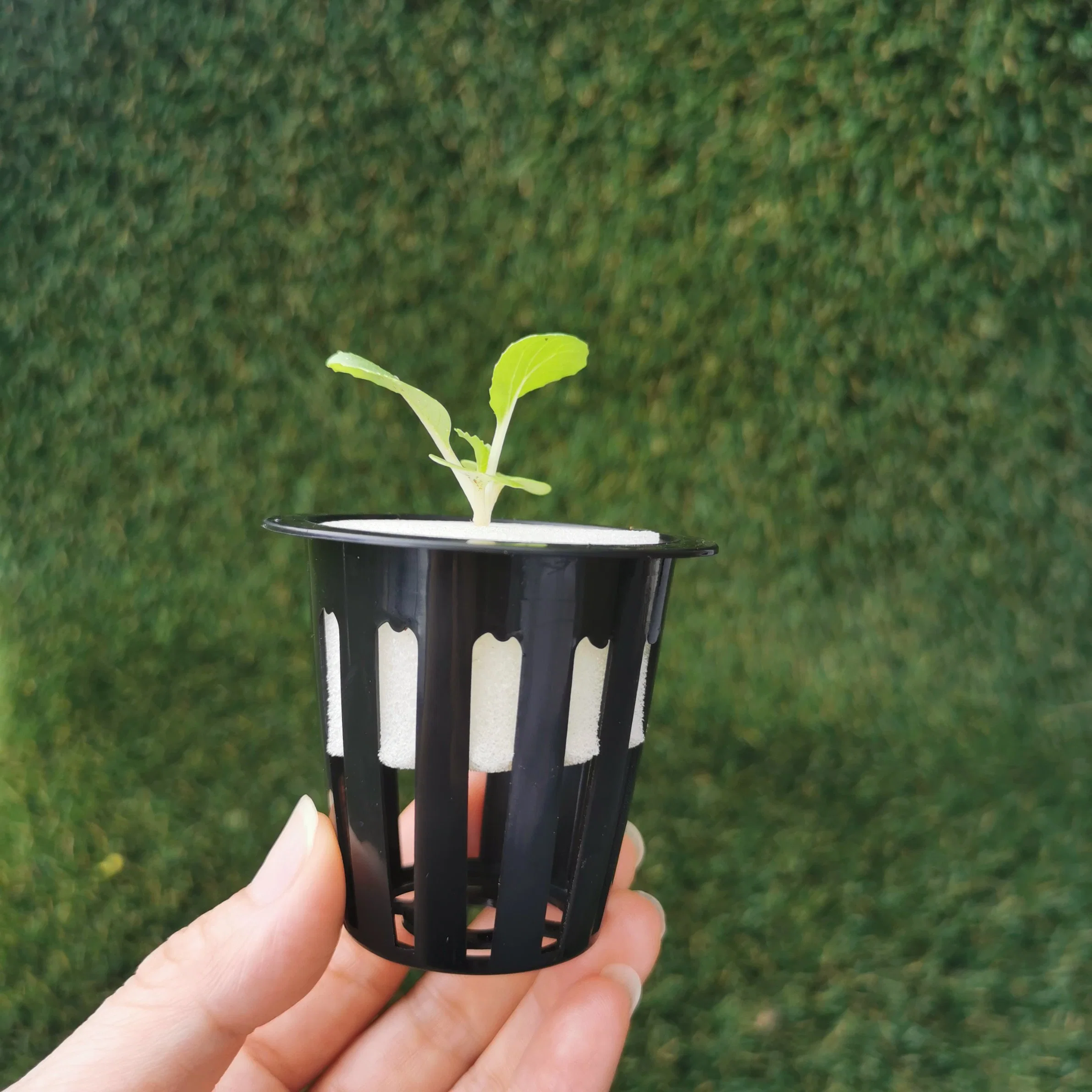 2 Inch Plastic Planting Cup for Hydroponics System