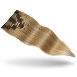 Natural Remy Blonde Brown Human Hair Clip in Hair Extensions