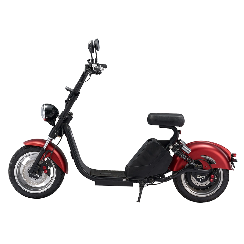 Electric Scooter with Removable Lithium Battery EEC Motorcycle