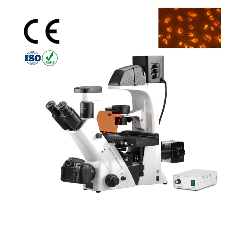 Biological Laboratory Professional Fluorescence Microscope Used in Scientific Research Bds Series