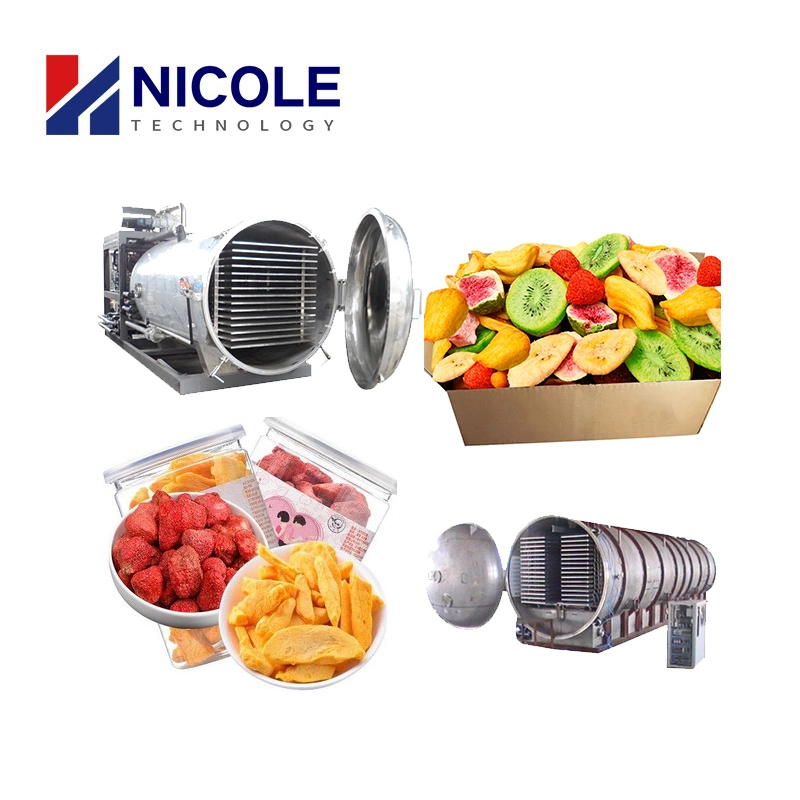 380V Good Quality Fruit Dehydration Porous Effect Strawberry Vacuum Freeze Drying Equipment