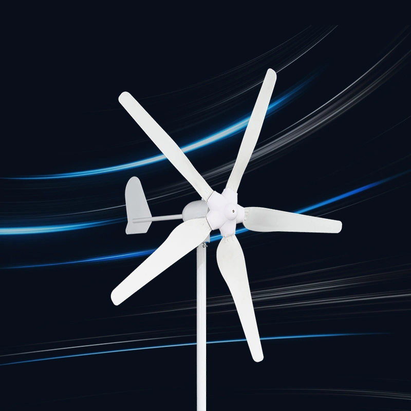 1000W 1kw Pastoral Area Wind Turbine Generator