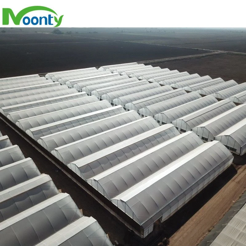 Chinese Agricultural/Commercial High quality/High cost performance  Transparent Plastic Film Cover Greenhouse