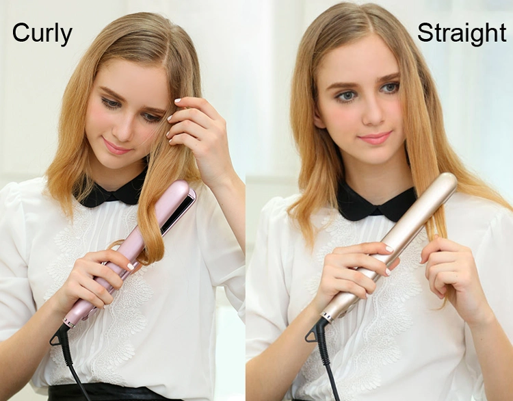 Temperature Adjustable Steam Hair Flat Iron (V179)