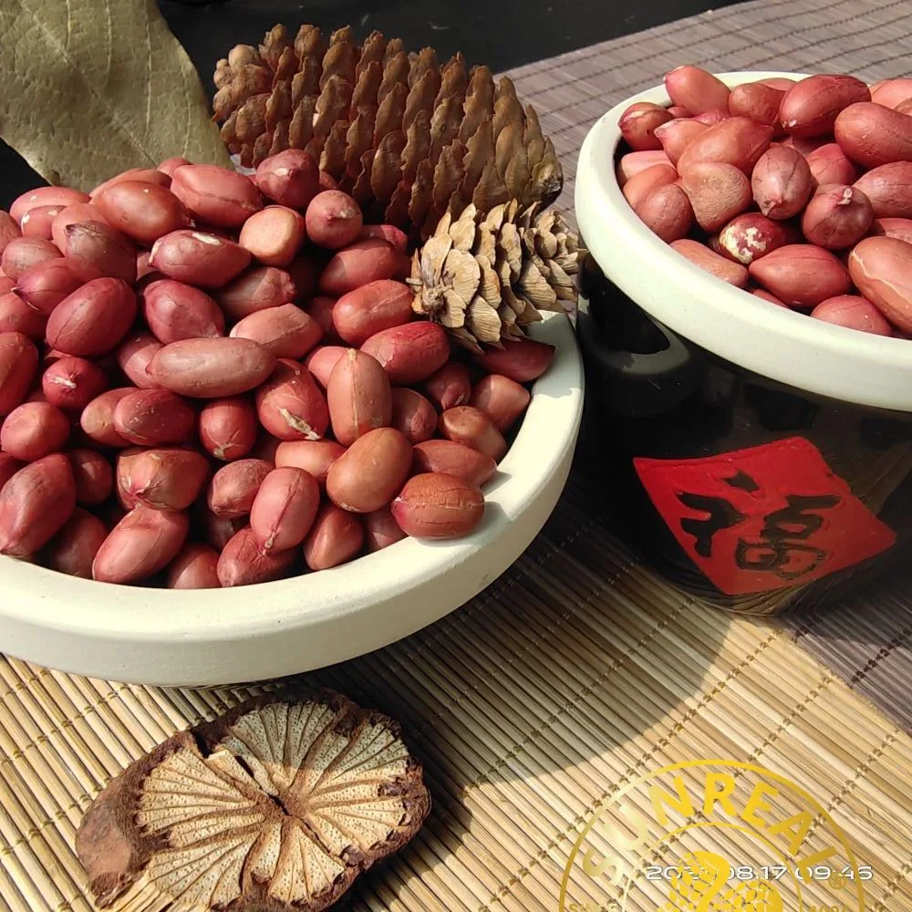 Raw Peanut Kernels/Red Skin/Superior Quality/All Size/Pukee Foods/Sunreal