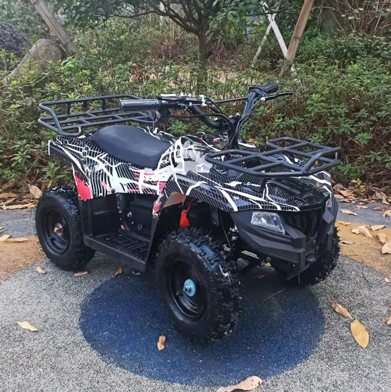 Los niños ATV Quad eléctrico 800W