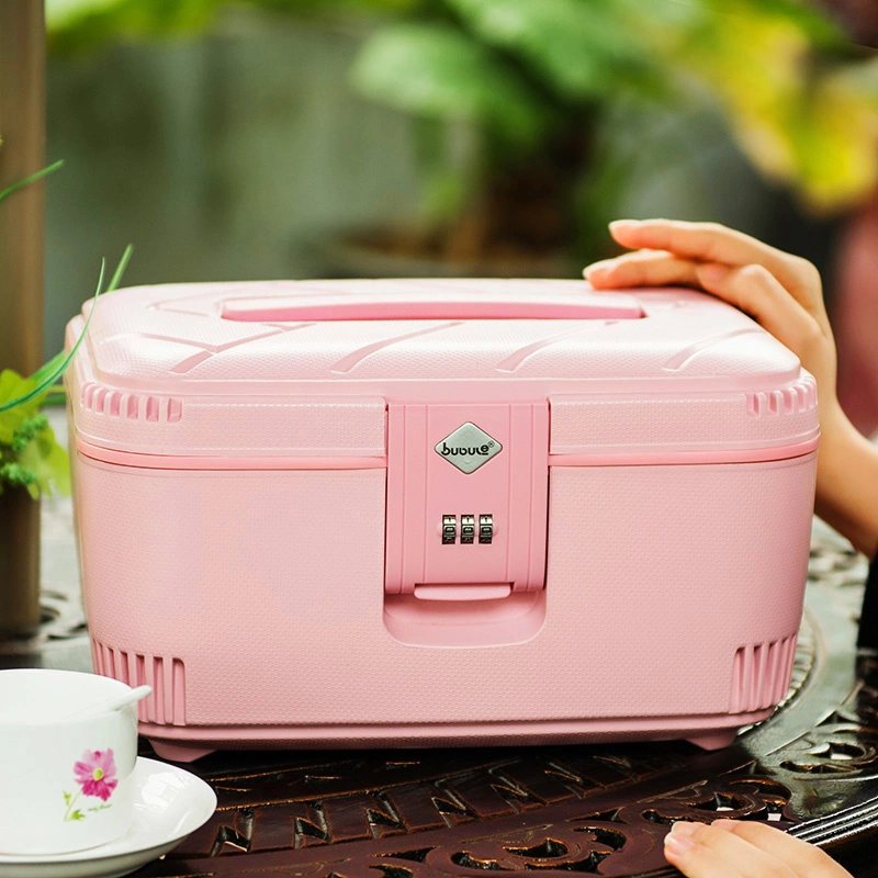 Mineral Make up Box, 2022 New Style Beauty Case for Travel, Safe Coded Makeup Products Case