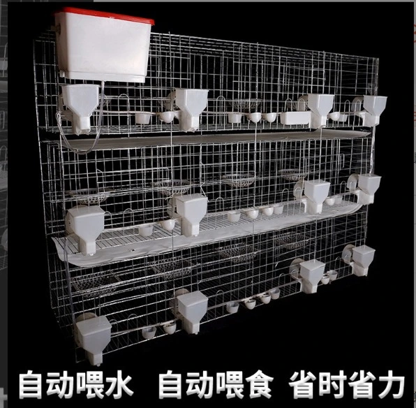 Best Selling Products 2022 Canary Parakeet Pigeon Quail Parrot Bird Cage, Bird Cage Metal, Breeding Cage