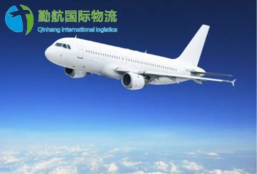 Shenzhen Shipping Company Logistic Service Air Cargo Food Freight Service Air Shipping From China to France/ Belgium/ Luxembourg