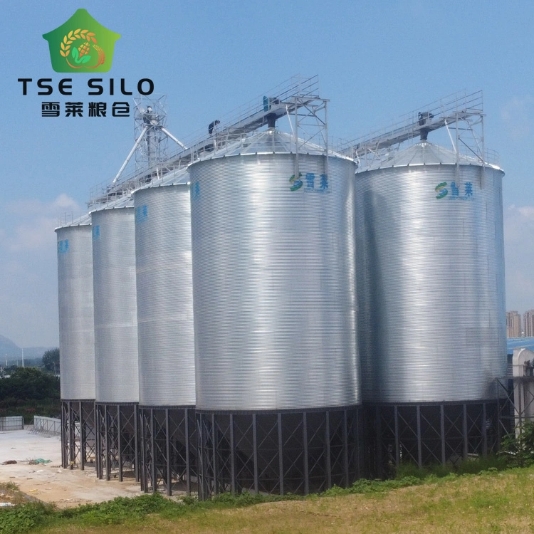 Full Automatic Hot Galvanized 51ton Steel Silo for Animal Food with Cone Bottom