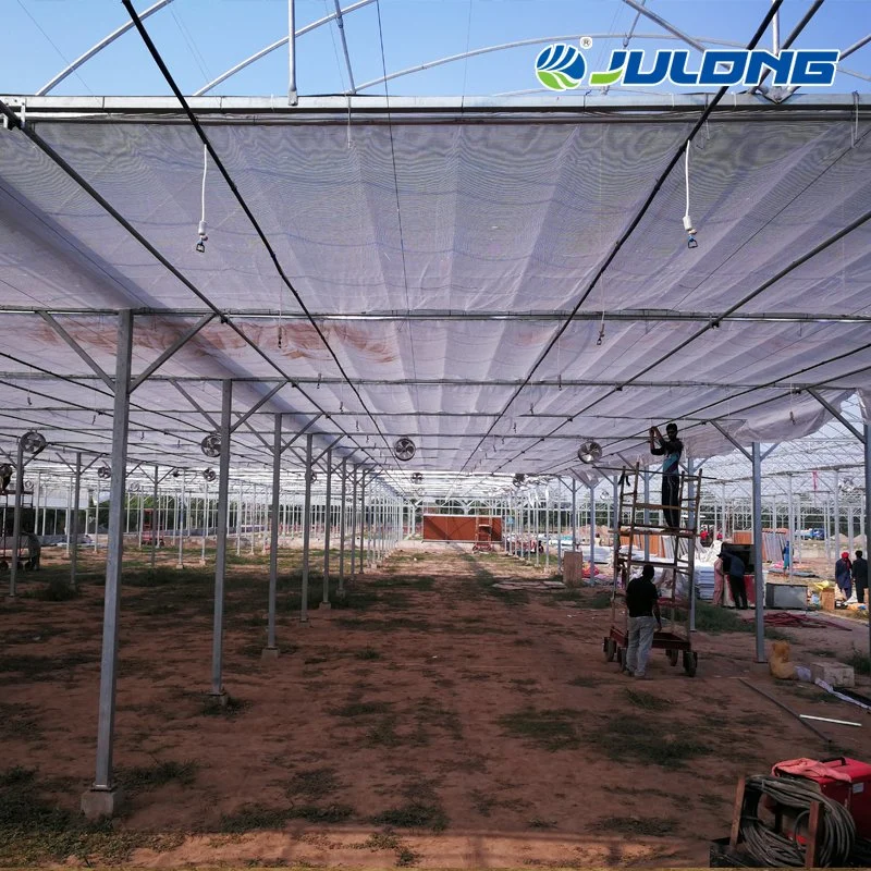 Agriculture Substantial Tunnel Galvanized Steel Cucumber Maxpower Greenhouse