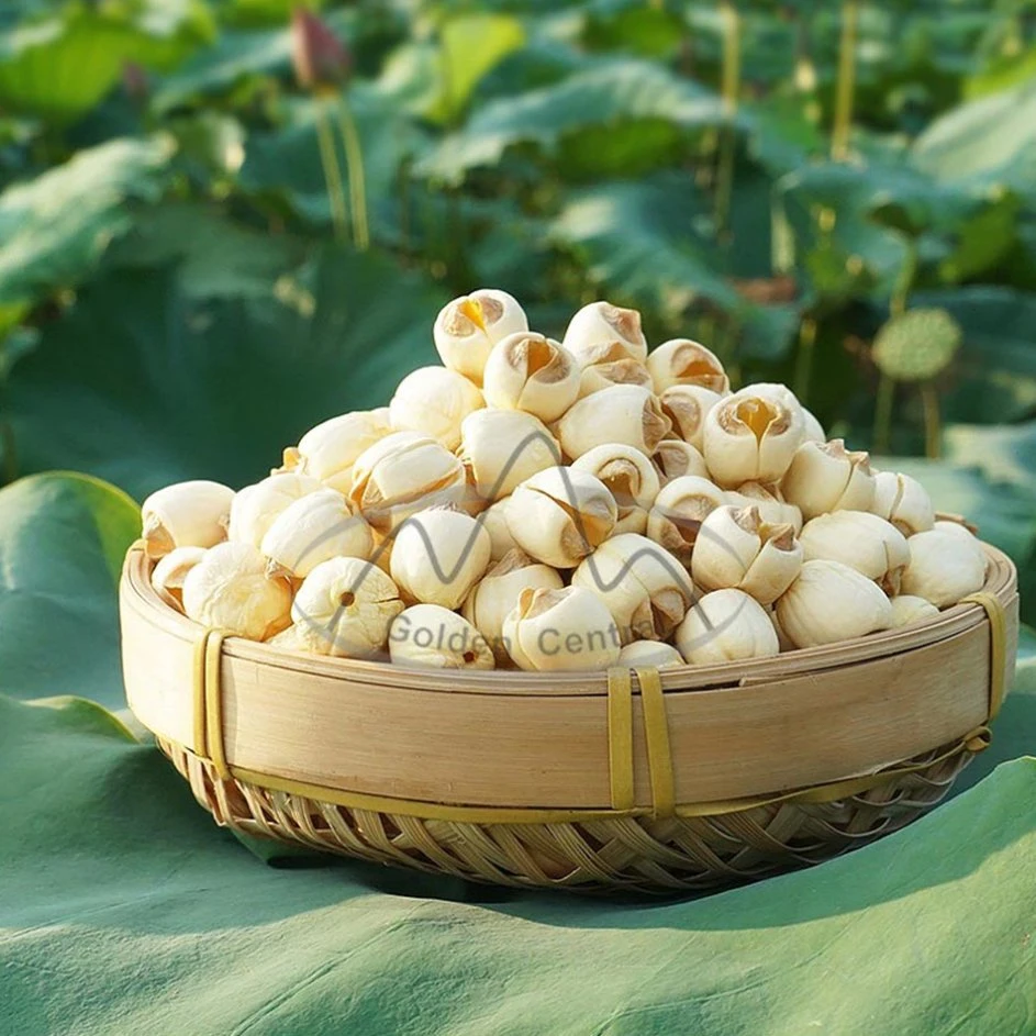 Natural Bulk White Lotus Seed for Soup Health Bubble Tea