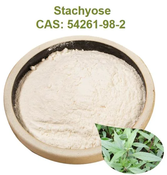 Горячие продажи природных Stachyose 80 Stachyose Tetrahydrate порошок Stachyose/Stachyos CAS 470-55-3