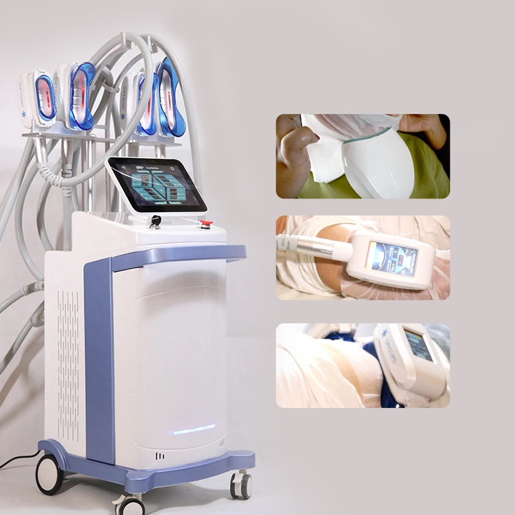 Double Chin Cryolipolysis Slimming Machine Cryolipolysis Endermologic 4D Cryolipolysis Machine