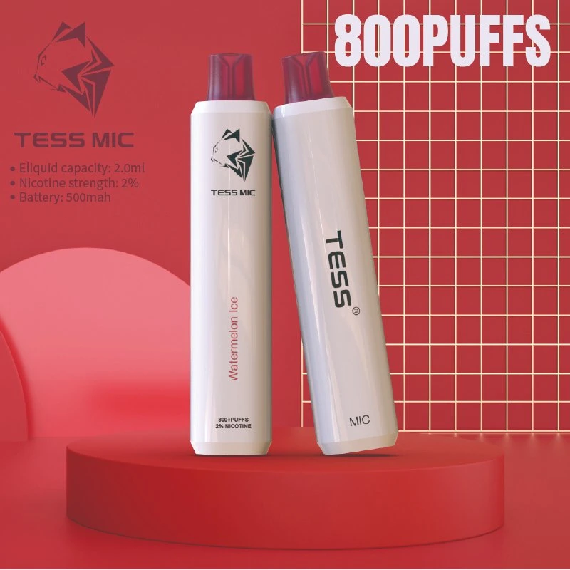 Wholesale/Supplier OEM E Cigarette Vaporizer 800 Puffs 10 Flavors Disposable/Chargeable Vape