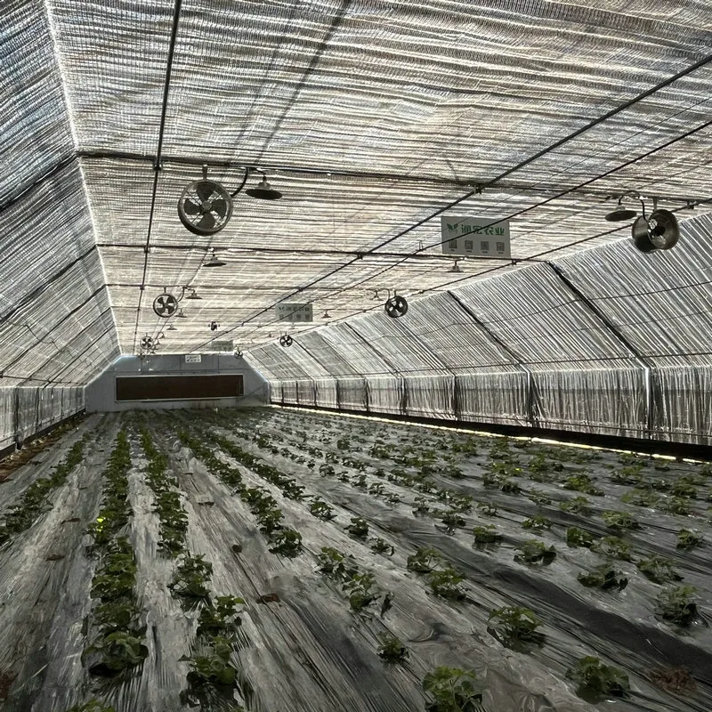 Сельское хозяйство Poly Tunnel100% Blackout Автоматическое лишение света Greenhouse для Канады / США