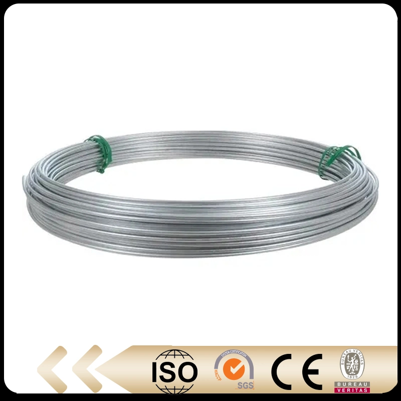 Factory Price 0.7mm 0.8mm 1.2mm 1.6mm 1.8mm 2mm Diameter Galvanized Steel Wire Forbuilding Electric Galvanized Mild Steel Binding Wire/Low Carbon Wire