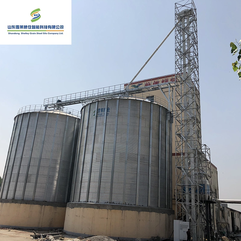 Galvanized Sesame Barley Coffee Beans Storage System Grain Wheat Corn Maize Silos Prices