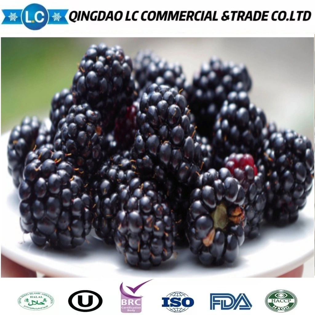 Chino a granel fruta de embalaje IQF Frozen BlackBerry en buen estado