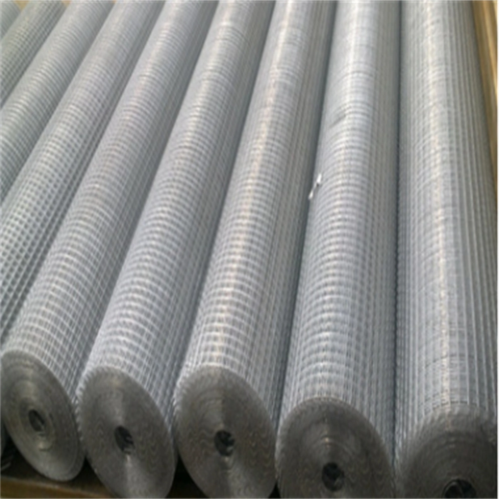 Welded Wire Mesh/Steel Welding Net/ Square Hole Anti Bird Net