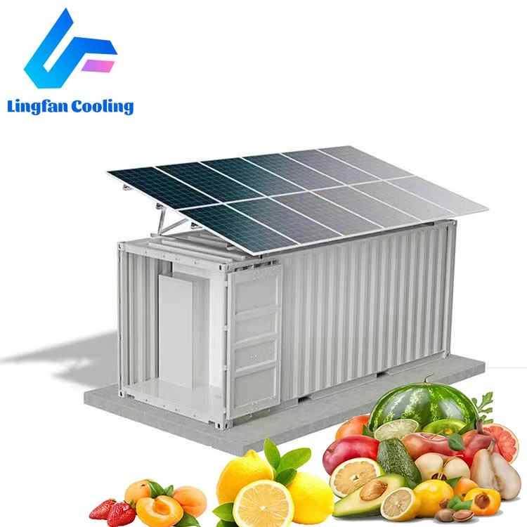 Armazenamento de carne e legumes caminhada em congelador Solar Powered Cold Quarto