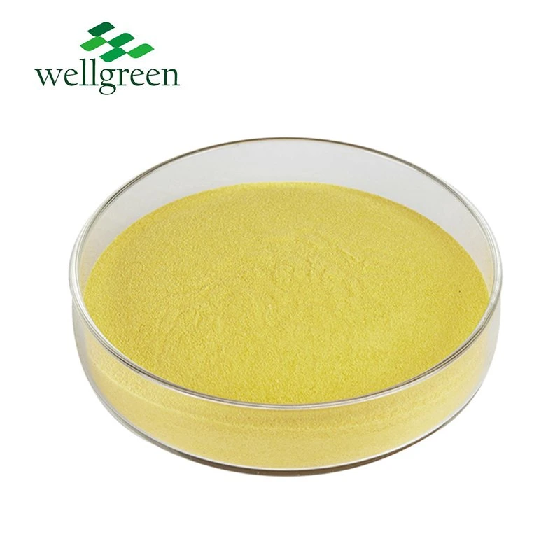 Directly Supply Natural Sophora Japonica Extract 98% Quercetin Anhydrous