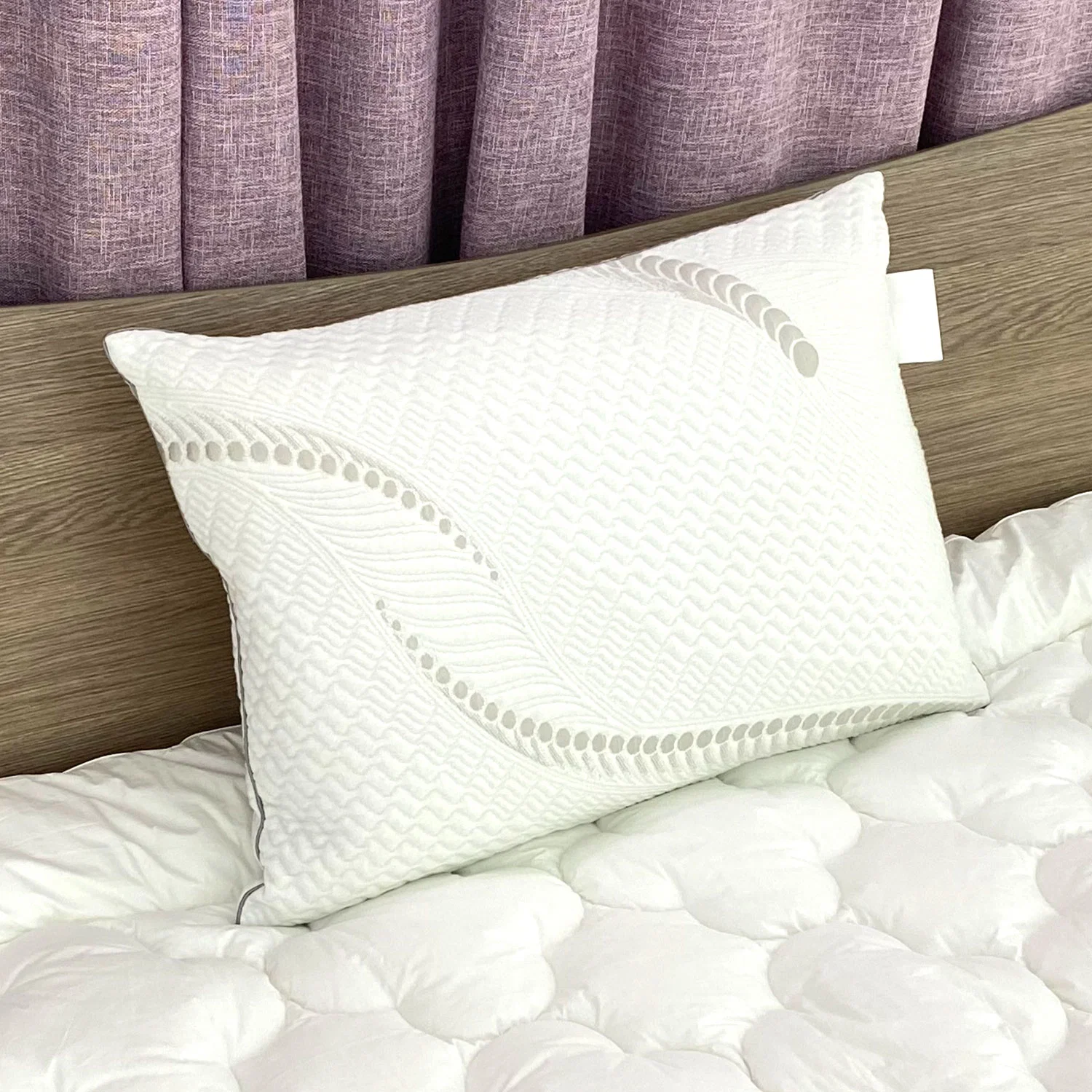 Factory Price Plain Bedding 100% Pes Fiber Shredded Latex Pillow with Zipper