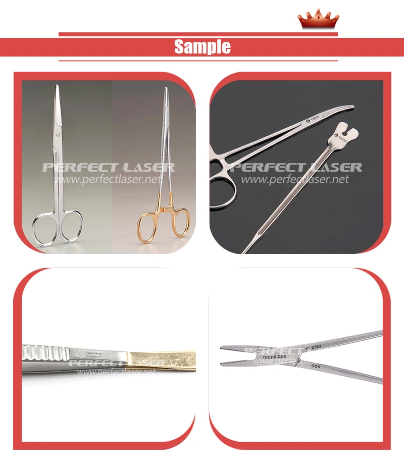 Medical Surgical Instrument Fiber Laser Marking Machine System