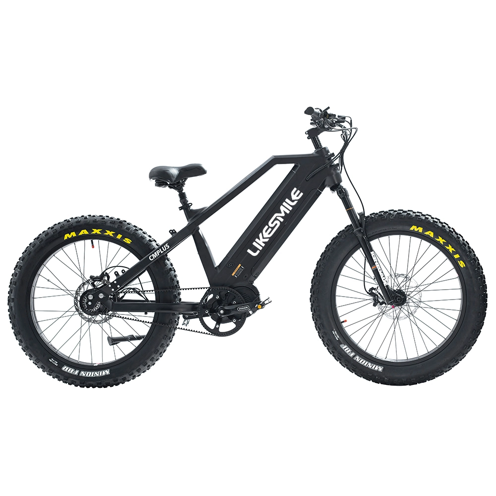 Venda direta de fábrica do Best 48V 30ah eBike Electric Bicicleta China para caça