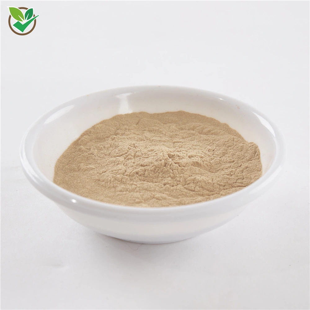 Best Price Amla Powder Bio Dried Amla Powder Amla Fruit Extract Powder