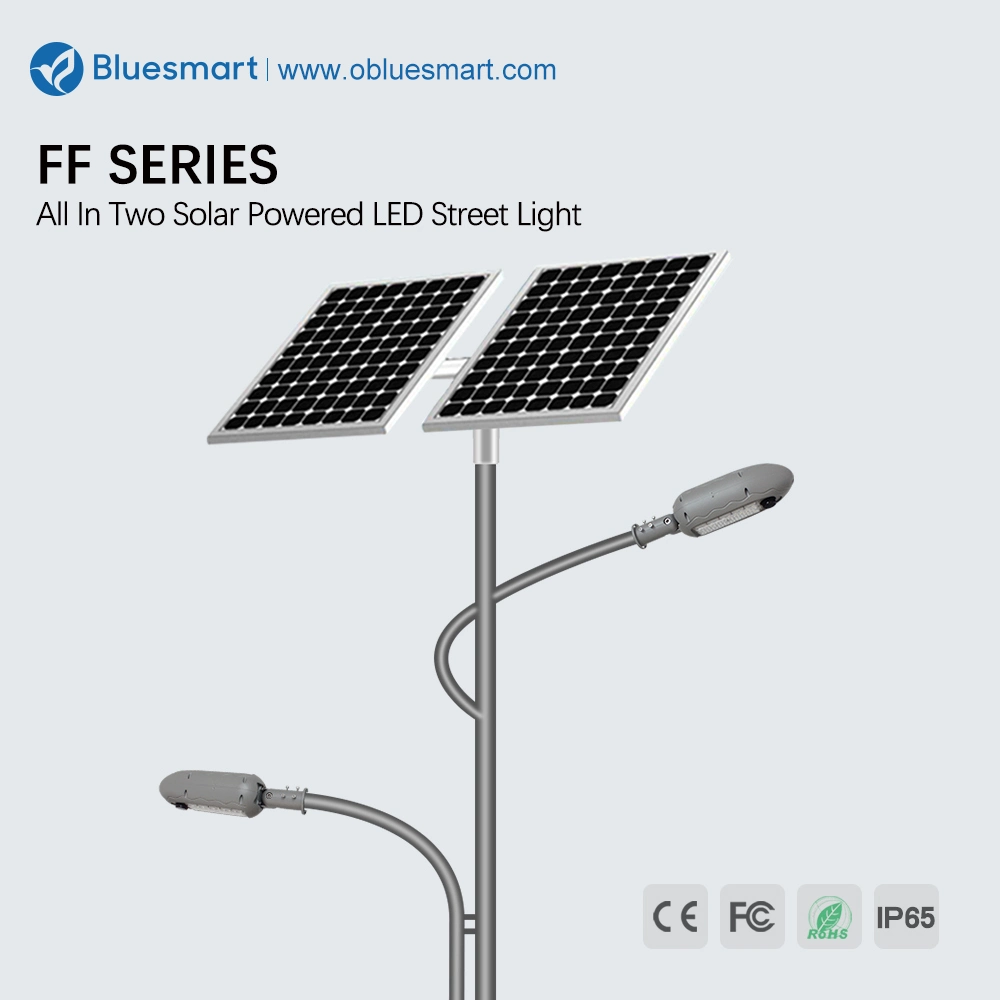 100W Outdoor LED Solar Flood Light Chinese Supplier