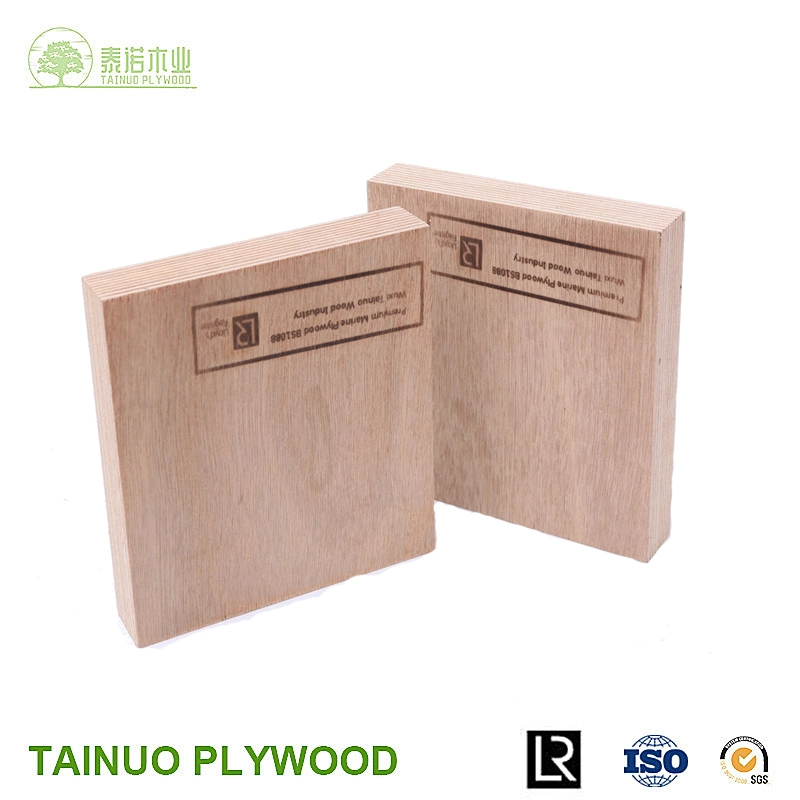 6mm WBP Glue Marine Plywood with Lr