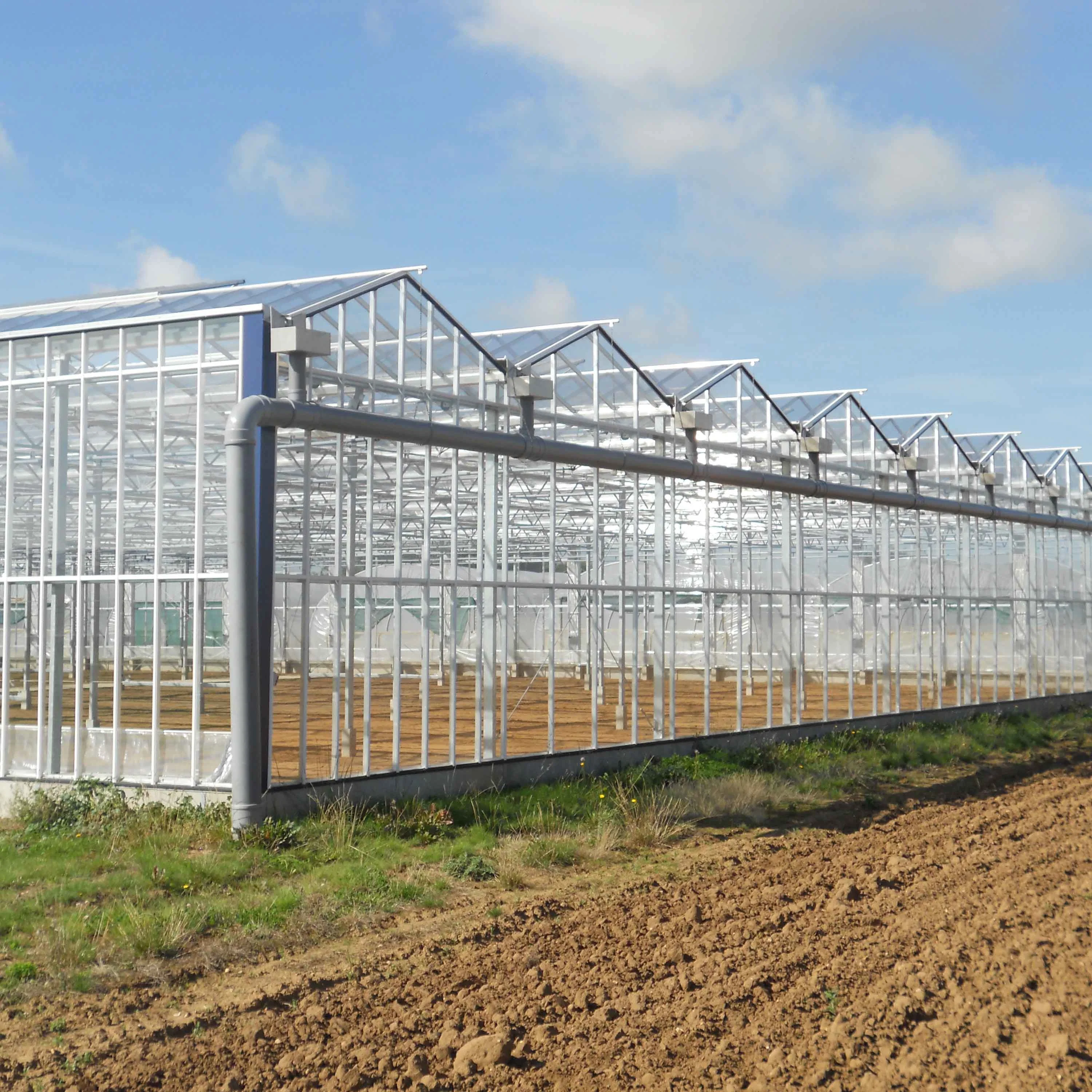 2023 China High Performance Venlo Glass Greenhouse for Modern Agriculture