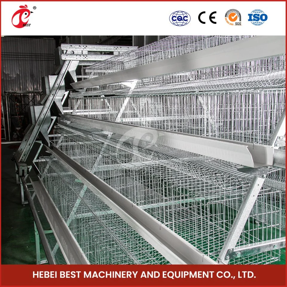 Bestchickencage China PVC Chicken Layer Coop Manufacturing Wholesale Long-Lasting Features Poultry Layer Chicken Cage Configuration Chicken Coop Pen