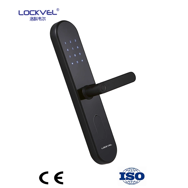 Coffre-fort sans clé/Mot de passe/Bluetooth/carte électronique à empreinte digitale Smart Door Lock