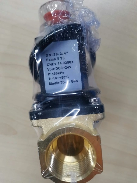 Gas Detector with Brass Solenoid Valve